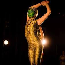 Also muss ein kostüm fürs kind her. Schlangen Kostum Selber Machen Maskerix De Schlangen Kostum Kostume Selber Machen Karneval Kostum Selber Machen