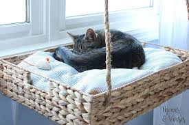diy hanging basket cat perch kat hangmat kattenbed katten