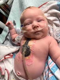 Fundraiser for Dana Whynot by Mariah Chatelaine : Charlie Douglas Snair