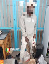 BuurNews - Le Vendeur de Brochettes Détaille Son Menu Josep Adjinankou  Godwin (26 ans): « J'attrape les chats dans la rue. Après avoir égorgé et  dépecé les chats, je ne cuisine pas