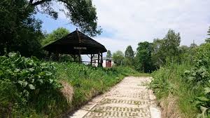 Trójstyk polski, ukrainy i słowacji, krzemieniec. Trojstyk Polska Bialorus Ukraina Mapio Net