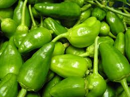 Juli 1873 der stadt und des hafens mit den kriegsschiffen. Pfeffer Von Padron Pimientos De Padron In Spanien 2021