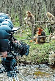 Résultat de recherche d'images pour "nes en chine film"