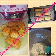 Epingle Sur Companion