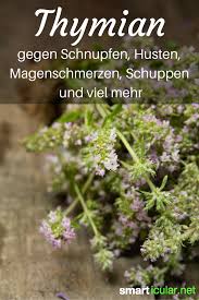 Heilende Anwendungen Fur Thymian Weit Mehr Als Nur Ein Kuchenkraut Gesunde Krauter Heilen Gesundheit