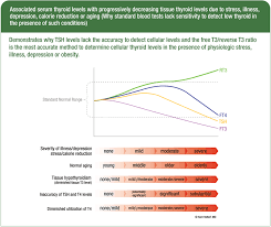 Thyroid Info Low Thyroid Hormone Levels Hypothyroidism