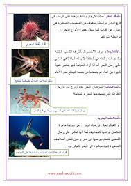 التنقل عند الحيوانات في الماء التنقل سباحة موقع مدرستي