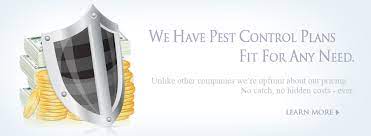 Our innovative san antonio pest control services are specifically designed to treat and prevent pests that are common in the area. Termite Pest Control Black Knight Pest Temecula Ca