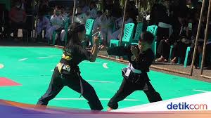 Pada olahraga pencak silat usaha untuk memasukkan pukulan atau tendangan ke bidang sasaran (anggota badan lawan) dengan menggunakan tangan atau kaki disebut. 8 Teknik Dasar Pencak Silat Olahraga Bela Diri Asli Indonesia