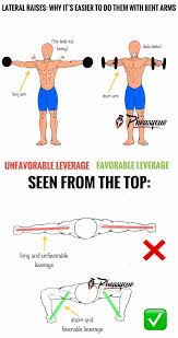 The 4 Week Dumbbell Workout Plan Part 4 Shoulders Gymguider Com Dumbbell Workout Plan Arm Workout Gym Dumbbell Workout