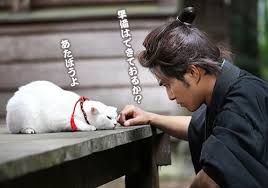 amgエンタテインメント on twitter men with cats funny cats pets cats