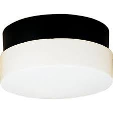 The classic clear seeded glass panels provide a warm and inviting light. Progress Lighting Hard Nox Collection 2 Light Black White Polycarbonate Shade Transitional Outdoor Wall Or Ceiling Mounted Fixture P5711 31 The Home Depot