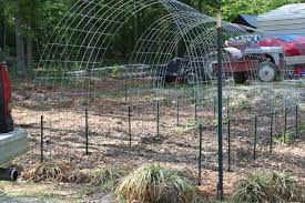 Vertical Gardening Using Cattle Panels As Trellis Anchored To T Posts This Photo Was Uploaded By Backyard Garden Design Small Backyard Gardens Outdoor Gardens