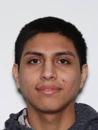 Suspect shot victim in testicles during robbery attempt, police say