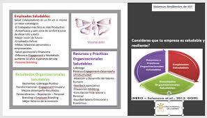 PROGRAMA DE VIGILANCIA EPIDEMIOLOGICA (PVE) DEL RIESGO PSICOSOCIAL.