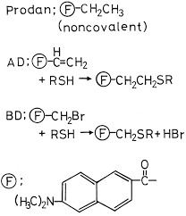 Prodan products have very divers application areas. Atp Induced Opposite Changes In The Local Environments Around Cys697 Sh2 And Cys707 Sh1 Of The Myosin Motor Domain Revealed By The Prodan Fluorescence Journal Of Biological Chemistry