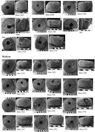 In jur de 15 lei si se poate face la orice centru de transfuzie sanguina. Weaving In Bronze Age Italy The Case Of The Terramare Settlement At Montale Three The Textile Revolution In Bronze Age Europe