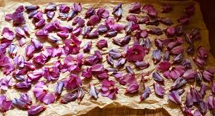 Bluten Trocknen Fur Hibiskusbluten Tee Hibiskus Krauterkuche Essbare Bluten
