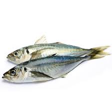 Tumis bawang sampai kekuningan dan naik bau. Mackerel Ikan Kembong Ikan Kembung Fresh Groceries Delivery Redtick