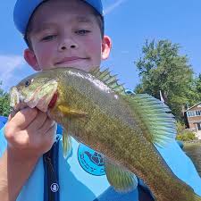 ᐅ Sunrise Lake fishing reports🎣• Rochester, NH (United States) fishing