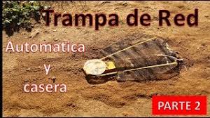 Encontrá pega pega pajaros en mercadolibre.com.ar! Como Hacer Pega Pega O Liria Y Casero Y Efectivo Tutorial Ymx Supervivencia Ø¯ÛŒØ¯Ø¦Ùˆ Dideo