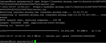 · you can skip all further information . How To Set Up A Dedicated Minecraft Server On Linux Liquid Web