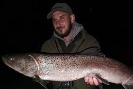 U sloveniji sezona ribolova mladice traje od novembra, negdje i decembra, pa do 15 februara, što znači, da veći dio sezone lovimo u zimskim uvjetima. Upecao Kraljicu Riba Od 18 Kilograma