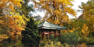 In 19 videos führt thomas speck. Botanischer Garten Dahlem Herbstaktivitaten Top10berlin