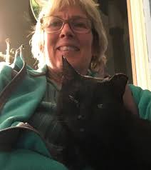 I adopted a white cat nearly 2 years ago. She was a rescue from streets of  Malaga and was terrified of hoomans, especially me! She 'lived'