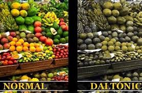 Blog de Emilio Silvera V.