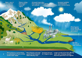 Water News Climate Change Water And Food Security Climate Change Effects Climate Change Environmental Degradation