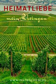 Heimatliebe Mein Rheingau Sieh Dir Die Schonsten Sehenswurdigkeiten In Diesem Weinbaugebiet An Rheingau Deutschland We Rheingau Rheine Reisen Deutschland
