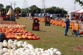Didier Farms Praire View Farm Pumpkin Farming S
