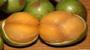Quenepa Fruit Fruit Jamaican Recipes Jamaican Traditions