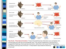 Chapter 10 Motivation And Emotion Table Of Contents