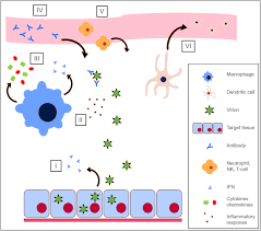 Steps to choose a registered agent. Blayaxefjsxklm
