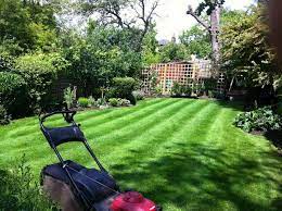 There are a few things we should all be doing every year to keep our gardens safe and looking their best, but most of us will admit to a little bit of garden neglect. Garden Maintenance Services In Dubai