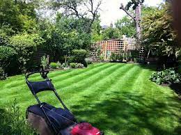 Handy man and general maintenance. Garden Maintenance Services In Dubai