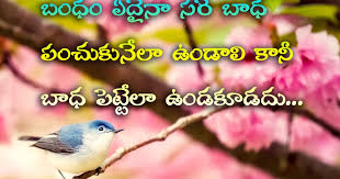 Strong relationship quotes in telugu. Good Relation Quotes In Telugu Telugu Quotes