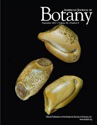 Image result for Euphorbia mossambicensis