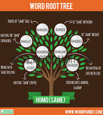 Break 'homologous' down into sounds: All About The Homo Root Word Words Based On Root Word Homo