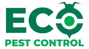 We treat your home for existing pests and time your treatments based on your home's needs to focus on pest. Eco Pest Control Trusted Residential Commercial Pest Control For Mi