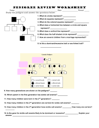 We did not find results for: Pedigree Review Worksheet
