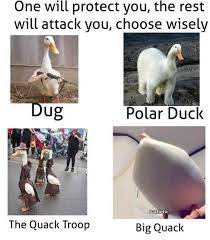 Choose your fighter, iowa city. Choose Your Fighter Memes