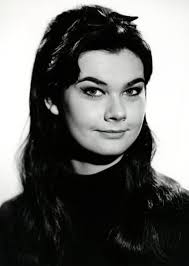 Kenneth Ives Fan Casting for Imogen: The Enchanting Life of a Star