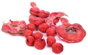 Image result for Pithecellobium dulce