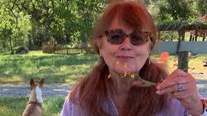 Heidi Mead's Instagram, Twitter & Facebook