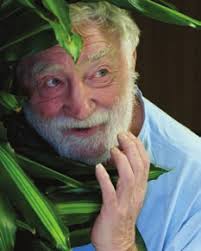 The sky's the limit: