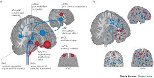 Image result for Placebo Effect