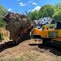 Southern cut stump grinding from outdoornearme.com
